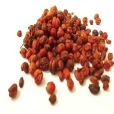 resources of Celastrus Paniculatus Seeds exporters