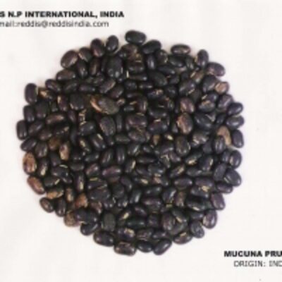 resources of Mucuna Pruriens exporters