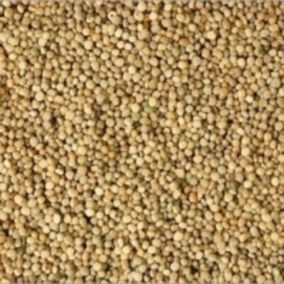 resources of Guar Seed exporters