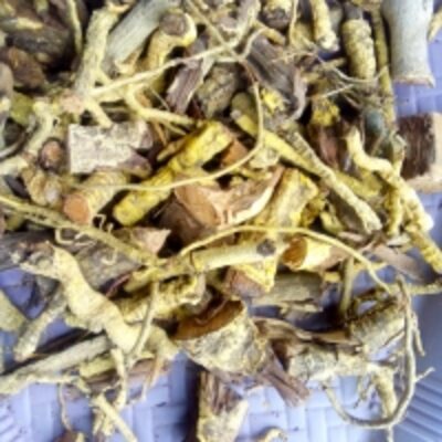 resources of Salacia Reticulata Root exporters