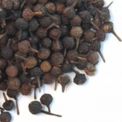 resources of Piper Cubeba exporters