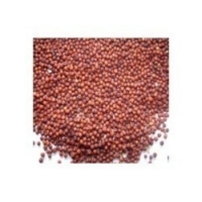 resources of Finger Millet exporters