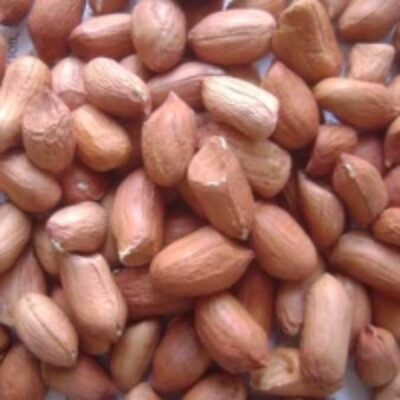 resources of Peanuts Kernels exporters
