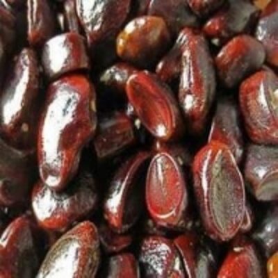 resources of Tamarind Seed exporters