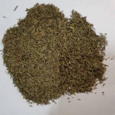resources of Thyme exporters