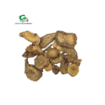 resources of Dried Rhubarb Root exporters