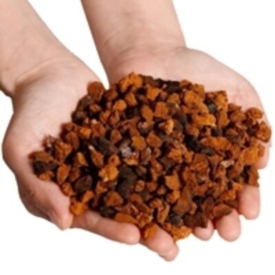 resources of Dried Chaga Mushroom Chaga Chunks exporters