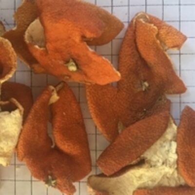 resources of Dried Orange Peel  Tangerine Peel exporters