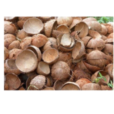 resources of Coconut Shell exporters