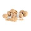 Ceylon Nutmeg Exporters, Wholesaler & Manufacturer | Globaltradeplaza.com