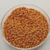 Red Lentils Split (Masoor Dal) Exporters, Wholesaler & Manufacturer | Globaltradeplaza.com