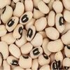 Black Eyed Peas (Chavali) Exporters, Wholesaler & Manufacturer | Globaltradeplaza.com