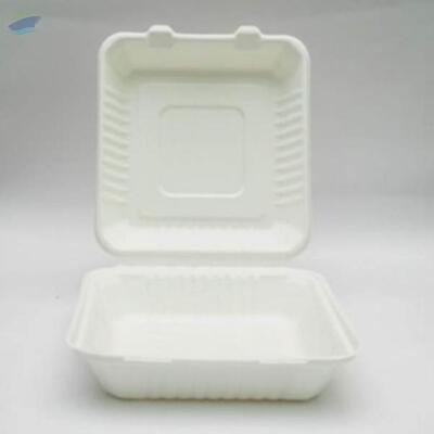 resources of Clamshell Sugarcane Bagasse Box 7"x5" 600Ml exporters