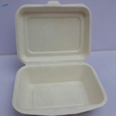resources of Clamshell Sugarcane Bagasse Box 6" X 4" 450Ml exporters
