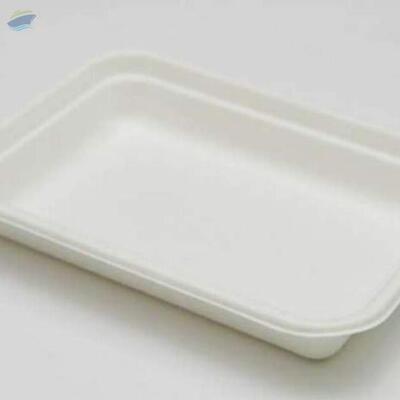 resources of Clamshell Surarcane Bagasse Tray 7"x5.3" exporters