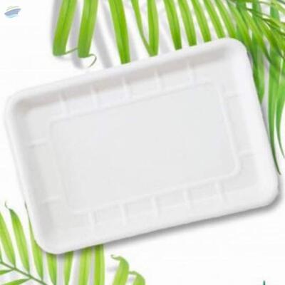 resources of Clamshell Surarcane Bagasse Tray 9"x5.3" exporters