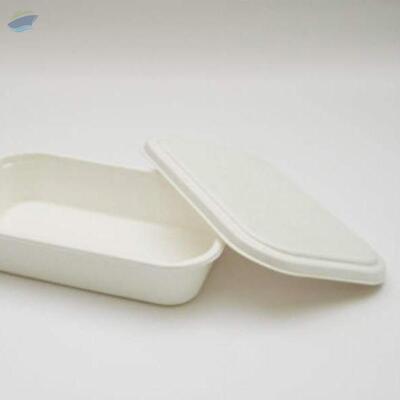 resources of Sugarcane Bagasse Oval Lid 800Ml exporters