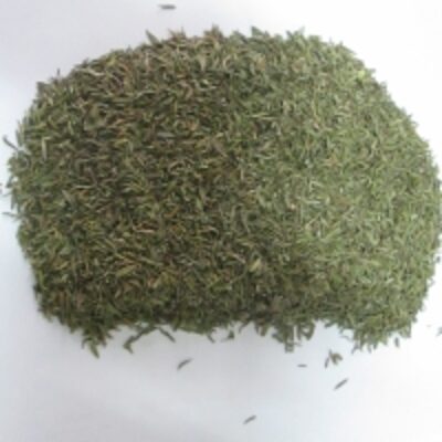 resources of Dry Thyme exporters