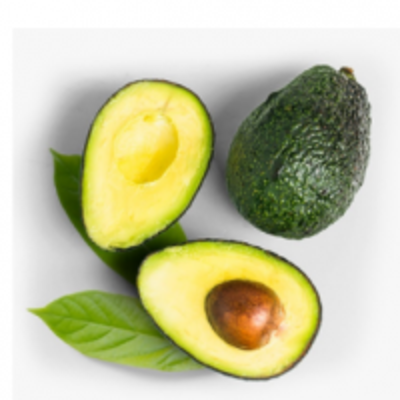 Avocado Fruit Exporters, Wholesaler & Manufacturer | Globaltradeplaza.com