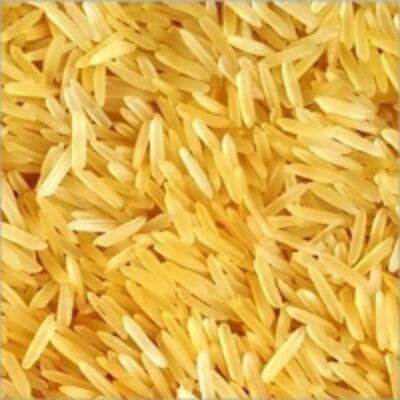 resources of 1509 Golden Sella Basmati Rice exporters