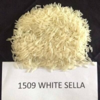 resources of 1509 Sella Basmati Rice exporters