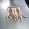 Chicken Feet  Grade A Exporters, Wholesaler & Manufacturer | Globaltradeplaza.com
