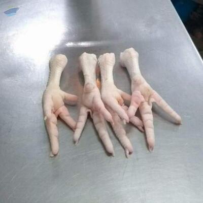 resources of Chicken Feet  Grade A exporters