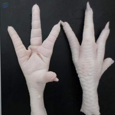 resources of Chicken Paw Grade A exporters