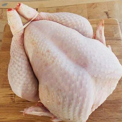 resources of Halal Fresh Frozen Whole Chicken exporters