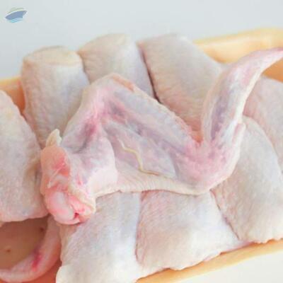 resources of Frozen Whole Chicken, Chicken Feet, Paws, Wings exporters