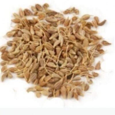 resources of Anise Seeds exporters