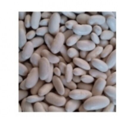 resources of White Beans exporters