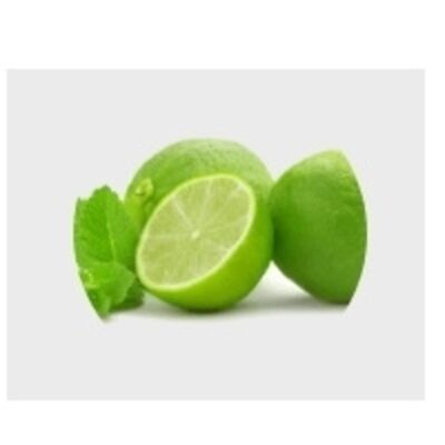 resources of Fresh Lime exporters