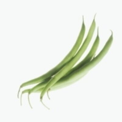 resources of Fine Beans exporters