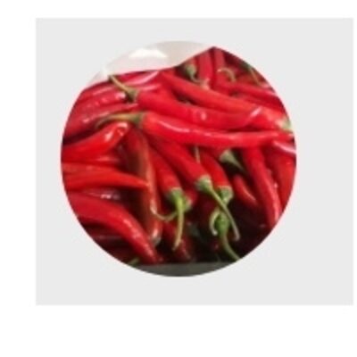 resources of Fresh Pepper exporters