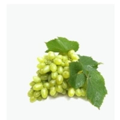 resources of Grape exporters