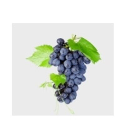 resources of Autumn Royal Grapes exporters