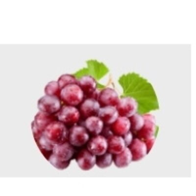 resources of Red Globe Grapes exporters
