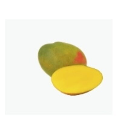 resources of Kent Mangoes exporters