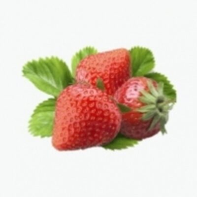 resources of Strawberries exporters