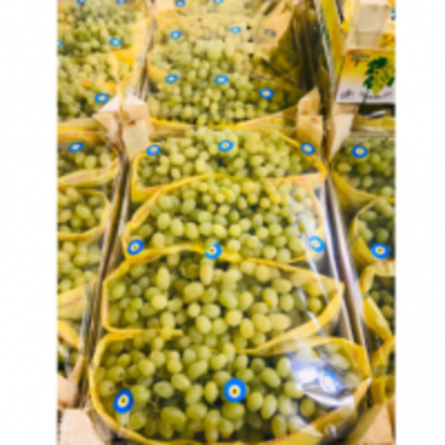 resources of Grapes exporters