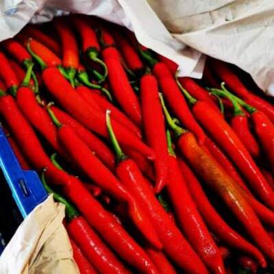resources of Thai Red Chilli exporters