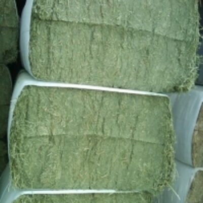 resources of Alfalfa Hay Pellets exporters