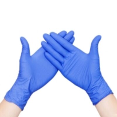 resources of Disposable Vinyl Gloves exporters