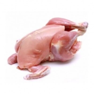 resources of Halal Frozen Processed Whole Chicken Suppliers exporters