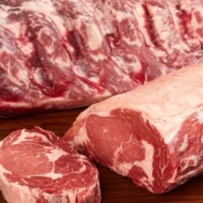 resources of Good Quality Beef Meat exporters