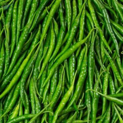 resources of Green Chillies exporters