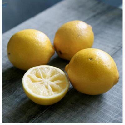 resources of Lemons exporters