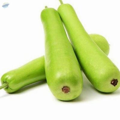 resources of Bottle Gourd exporters