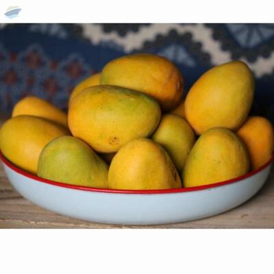 resources of Mangoes exporters